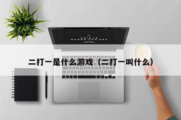 二打一是什么游戏(二打一叫什么)