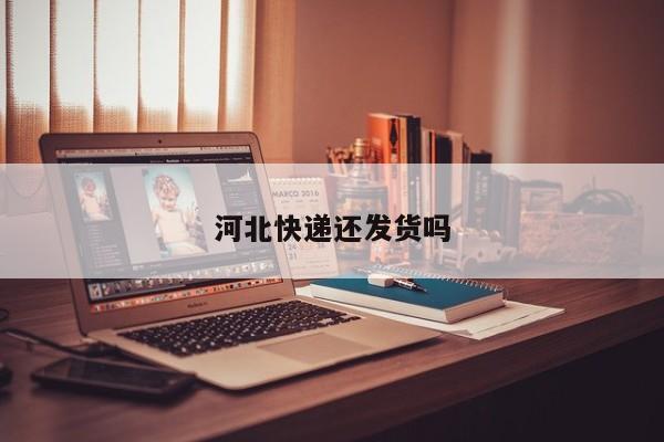 河北快递还发货吗