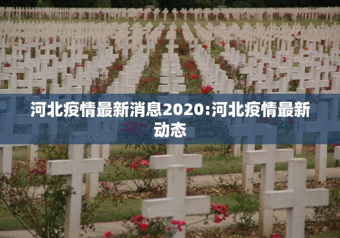 河北疫情最新消息2020:河北疫情最新动态 河北疫情最新消息2020:河北疫情最新动态