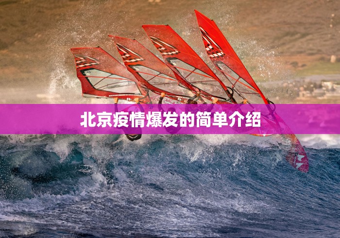 北京疫情爆发的简单介绍