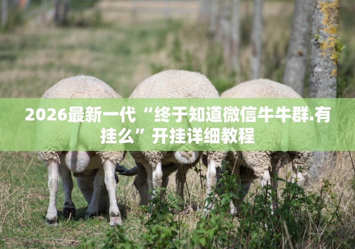 2026玩家推荐：微乐家乡麻将必赢开挂神器”开挂辅助脚本+详细开挂安装教程