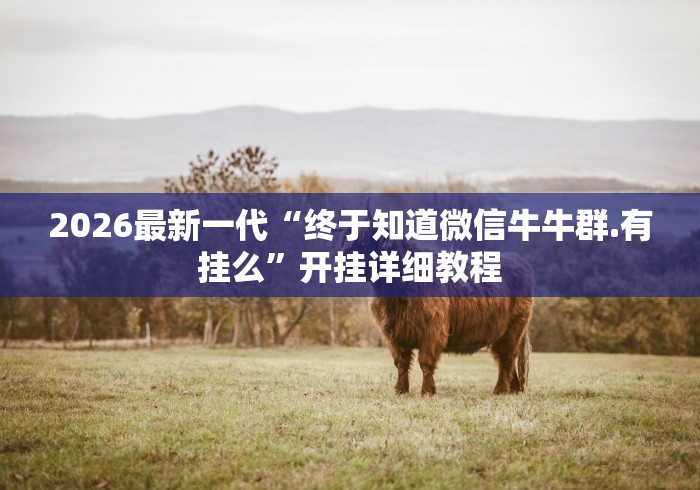 2026最新一代“终于知道微信牛牛群.有挂么	”开挂详细教程