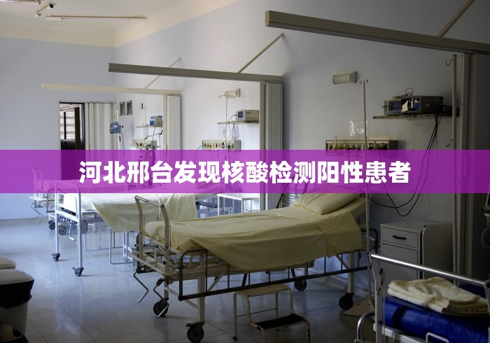 河北邢台发现核酸检测阳性患者