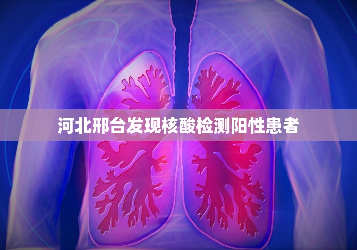 河北邢台发现核酸检测阳性患者