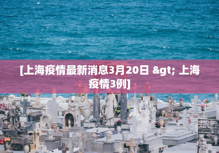 [上海疫情最新消息3月20日 > 上海疫情3例]
