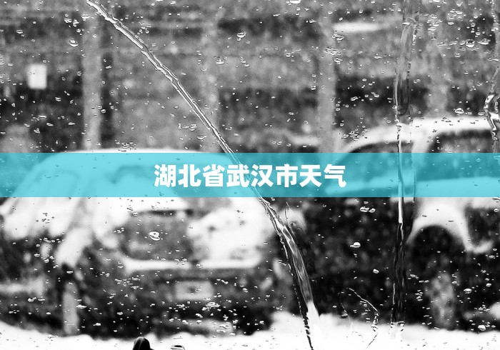 湖北省武汉市天气
