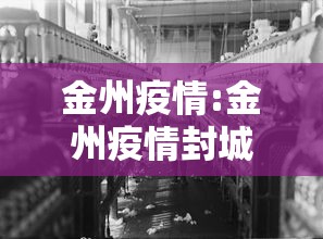 金州疫情:金州疫情封城时间