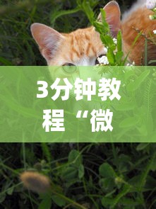 3分钟教程“微乐家乡麻将万能开挂器 代发飞机”(曝光透视必备猫腻)