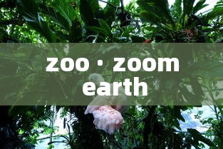 zoo · zoom earth zoo · zoom earth