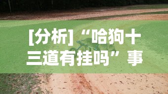 [分析]“哈狗十三道有挂吗”事实上确实有挂