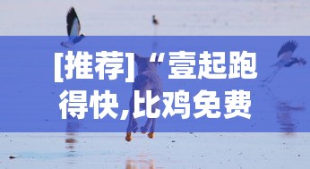[推荐]“壹起跑得快,比鸡免费开挂”(确实有挂)