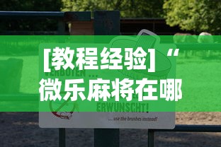 [教程经验]“微乐麻将在哪里买挂”辅助透视教程