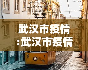 武汉市疫情:武汉市疫情况