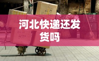 河北快递还发货吗