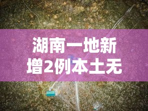 湖南一地新增2例本土无症状轨迹公布/湖南新增1例新冠肺炎无症状感染者
