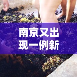 南京又出现一例新冠病毒（南京有1例新型肺炎病例）