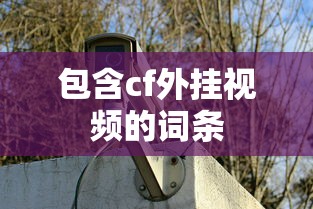 包含cf外挂视频的词条