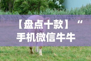 【盘点十款】“手机微信牛牛真的可以控制吗”(曝光透视必备猫腻)
