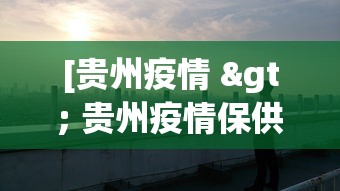 [贵州疫情 > 贵州疫情保供王政林]