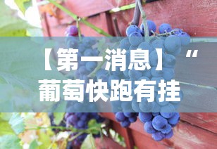 【第一消息】“葡萄快跑有挂吗”(其实是有挂)