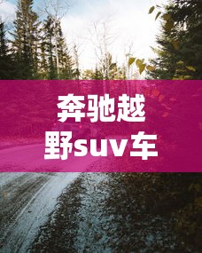 奔驰越野suv车型图及报价