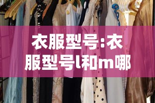 衣服型号:衣服型号l和m哪个号大