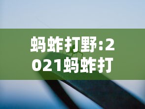 蚂蚱打野:2021蚂蚱打野攻略