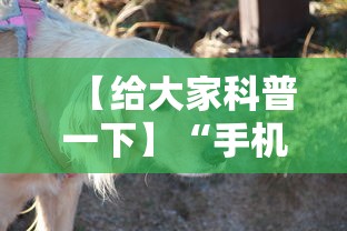 【给大家科普一下】“手机斗牛有没有猫腻”附透视挂详细教程