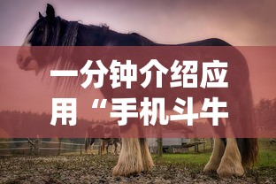 一分钟介绍应用“手机斗牛能赢钱吗”其实确实有挂