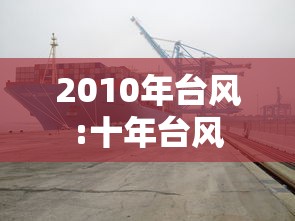 2010年台风:十年台风
