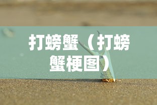 打螃蟹（打螃蟹梗图）