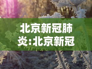 北京新冠肺炎:北京新冠肺炎病毒现在的情况