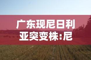 广东现尼日利亚突变株:尼日利亚突变毒株