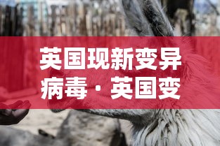英国现新变异病毒 · 英国变异新冠病毒惊动全球