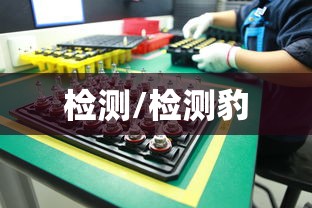 检测/检测豹