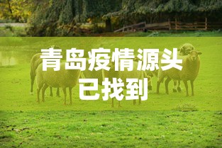 青岛疫情源头已找到