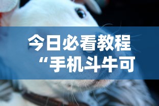 今日必看教程“手机斗牛可以作弊吗	”其实确实有挂
