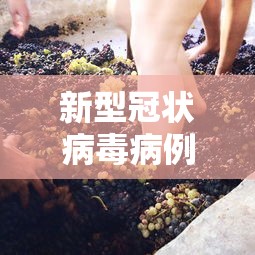 新型冠状病毒病例症状/新型冠状病毒病例症状表现为