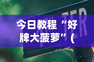 今日教程“好牌大菠萝”(透视挂)辅助透视教程