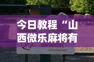 今日教程“山西微乐麻将有没有挂”(透视)开挂详细教程
