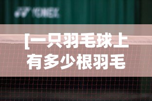 [一只羽毛球上有多少根羽毛 > 一个羽毛球上有多少羽毛]