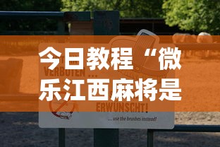 今日教程“微乐江西麻将是否有挂”(透视)其实真的有挂
