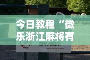 今日教程“微乐浙江麻将有挂吗	”真可以装挂