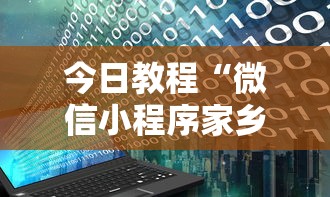 今日教程“微信小程序家乡大贰开挂器”详细开挂玩法