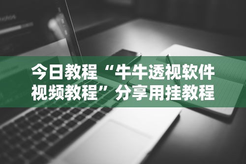 今日教程“牛牛透视软件视频教程”分享用挂教程