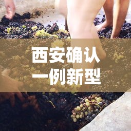 西安确认一例新型冠状病毒 · 西安确诊新型肺炎病例