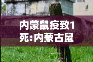 内蒙鼠疫致1死:内蒙古鼠疫患者