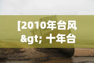 [2010年台风 > 十年台风]