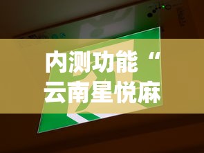 内测功能“云南星悦麻将开挂神器”(原来确实是有挂)