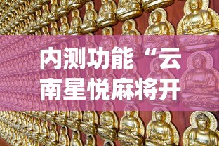 内测功能“云南星悦麻将开挂神器”(原来确实是有挂)